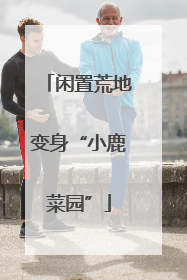 闲置荒地变身“小鹿菜园”