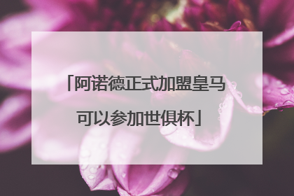 阿诺德正式加盟皇马 可以参加世俱杯