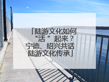 陆游文化如何“活 ”起来？宁德、绍兴共话陆游文化传承