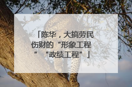 陈华，大搞劳民伤财的“形象工程”“政绩工程”