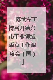 陈武军主持召开德兴市工业领域重点工作调度会（图）