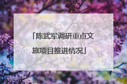 陈武军调研重点文旅项目推进情况
