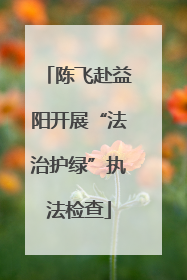 陈飞赴益阳开展“法治护绿”执法检查