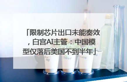 限制芯片出口未能奏效，白宫AI主管：中国模型仅落后美国不到半年