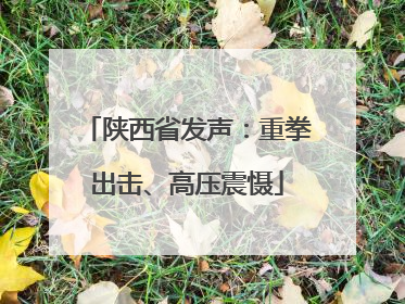陕西省发声：重拳出击、高压震慑