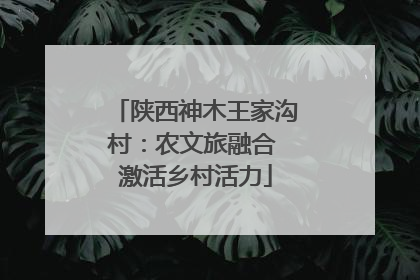 陕西神木王家沟村：农文旅融合 激活乡村活力