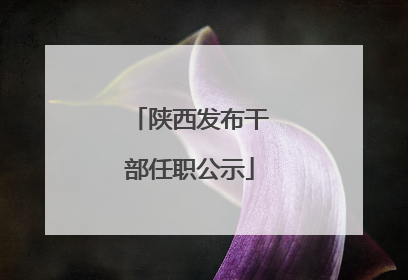 陕西发布干部任职公示