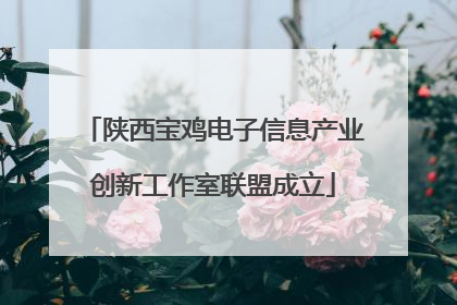 陕西宝鸡电子信息产业创新工作室联盟成立