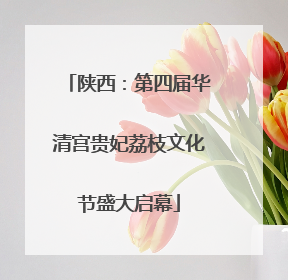 陕西：第四届华清宫贵妃荔枝文化节盛大启幕