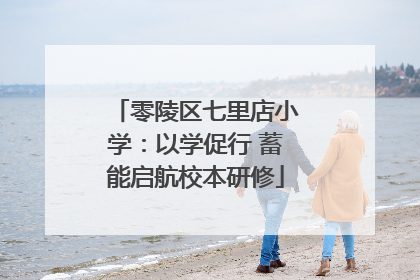 零陵区七里店小学：以学促行 蓄能启航校本研修