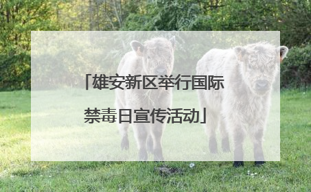 雄安新区举行国际禁毒日宣传活动
