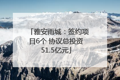 雅安雨城：签约项目6个 协议总投资51.5亿元