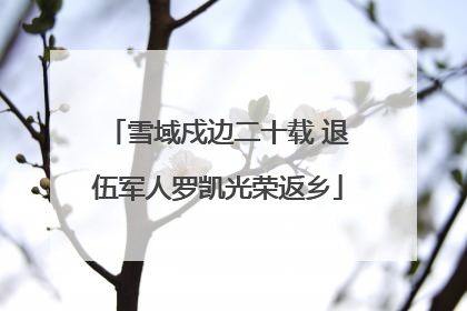 雪域戍边二十载 退伍军人罗凯光荣返乡