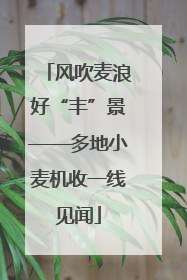 风吹麦浪好“丰”景——多地小麦机收一线见闻
