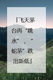 飞天茅台再“跳水”，“蛇茅”跌出新低