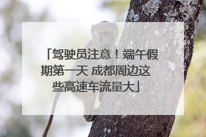 驾驶员注意！端午假期第一天 成都周边这些高速车流量大