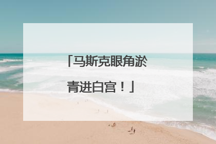 马斯克眼角淤青进白宫！