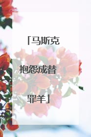 马斯克抱怨成替罪羊