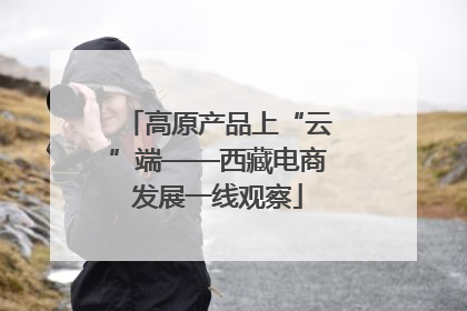 高原产品上“云”端——西藏电商发展一线观察