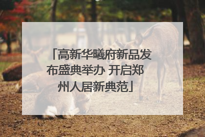 高新华曦府新品发布盛典举办 开启郑州人居新典范