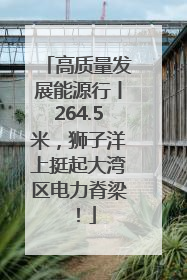 高质量发展能源行丨264.5米，狮子洋上挺起大湾区电力脊梁！