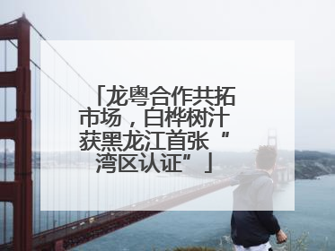 龙粤合作共拓市场，白桦树汁获黑龙江首张“湾区认证”