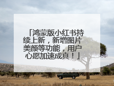 鸿蒙版小红书持续上新，新增图片美颜等功能，用户心愿加速成真！