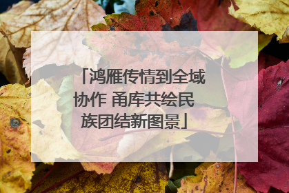 鸿雁传情到全域协作 甬库共绘民族团结新图景
