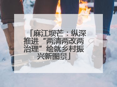 麻江坝芒：纵深推进“两清两改两治理”绘就乡村振兴新图景