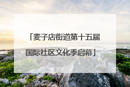 麦子店街道第十五届国际社区文化季启幕