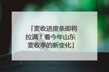 麦收进度条即将拉满！看今年山东麦收季的新变化