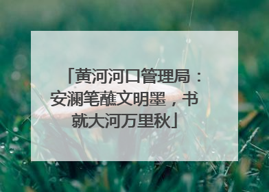 黄河河口管理局：安澜笔蘸文明墨，书就大河万里秋