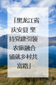 黑龙江省庆安县 坚持党建引领 农旅融合铺就乡村共富路