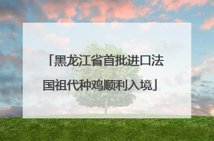 黑龙江省首批进口法国祖代种鸡顺利入境