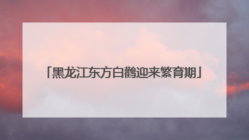黑龙江东方白鹳迎来繁育期