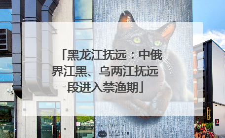 黑龙江抚远：中俄界江黑、乌两江抚远段进入禁渔期
