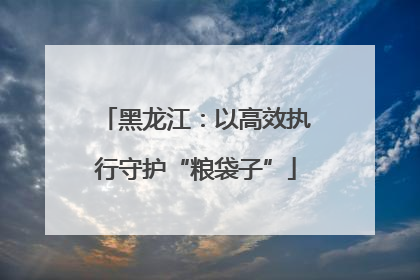 黑龙江：以高效执行守护“粮袋子”
