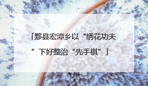 黟县宏潭乡以“绣花功夫”下好整治“先手棋”