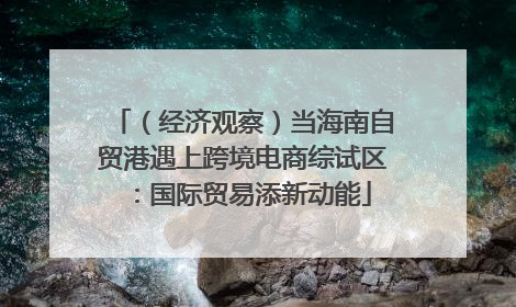 （经济观察）当海南自贸港遇上跨境电商综试区：国际贸易添新动能