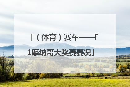 （体育）赛车——F1摩纳哥大奖赛赛况