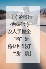 （乡村行·看振兴）农人手握金“药”匙 药材种出好“钱”景