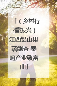 （乡村行·看振兴）江西铅山果蔬飘香 奏响产业致富曲