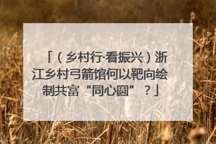 （乡村行·看振兴）浙江乡村弓箭馆何以靶向绘制共富“同心圆”？