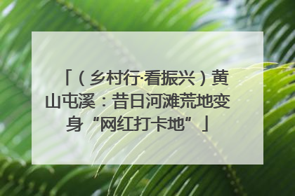 （乡村行·看振兴）黄山屯溪：昔日河滩荒地变身“网红打卡地”