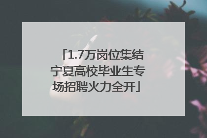 1.7万岗位集结 宁夏高校毕业生专场招聘火力全开