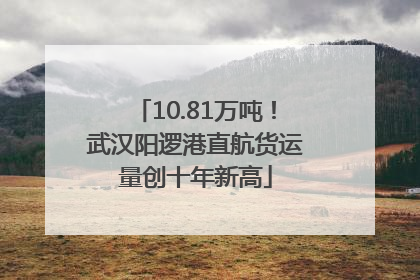 10.81万吨！武汉阳逻港直航货运量创十年新高