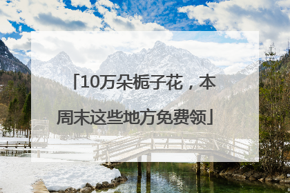 10万朵栀子花，本周末这些地方免费领