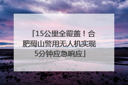 15公里全覆盖！合肥蜀山警用无人机实现5分钟应急响应