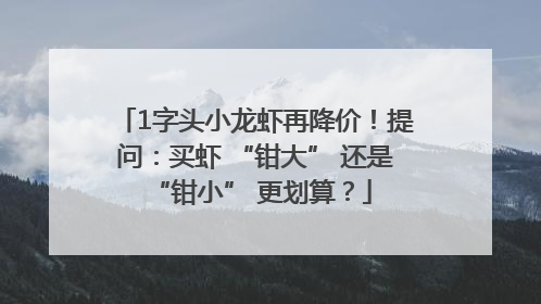 1字头小龙虾再降价！提问：买虾 “钳大” 还是 “钳小” 更划算？