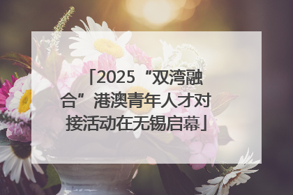 2025“双湾融合”港澳青年人才对接活动在无锡启幕